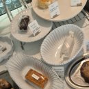 마론애견 이미지