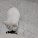 브레인게임존 이미지