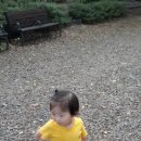 내서 삼풍대공원 이미지