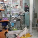 행복한 펫 살롱 이미지