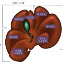 동행동물의료센터