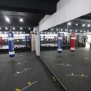 1994복싱 이미지