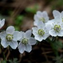 마중가는길 이미지