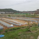 하수농장 이미지