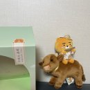 라이언 함께가겠소 ❤️ 라이언프렌즈~