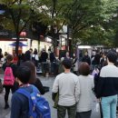 걷고싶은거리 이미지