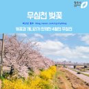 봄,푸드 이미지