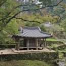 풍암제길 이미지