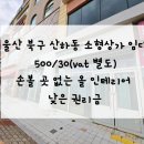 스타힐스중앙부동산공인중개사사무소 이미지