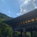 향토산채본가식당 | 합천 [ 향토산채본가식당 ] 가야산 해인사 반려견동반식당