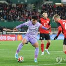 호요 티스토리