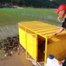 마을오리 이미지