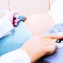 내포가축인공수정소 | 비타민B와 코큐텐의 시너지 효과, 임산부 코큐텐 추천