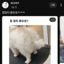 세븐일레븐 부산범천이편한점 | 힐스파) 바다를 보며 사우나 한잔해_신선놀음이 따로 있나_노천탕이 바로 그거