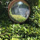 평화공원 공중화장실 이미지