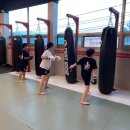 팀 헌터 이미지