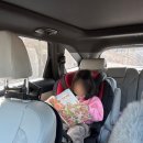 가야농약종묘사 | 유치원생 아이와 함께하는 부산 주말농장 (1)