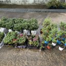 가래골마을 이미지