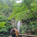 청림오크밸리 이미지