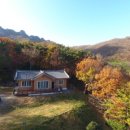 팔영산자연휴양림주차장 | 전자휴 팔영산 자연휴양림