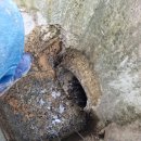 문정길 | 춘천하수구 배관클리닉 시원하게 고압세척으로 해결 완료!