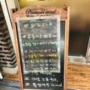 태하스시 이미지