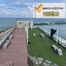 장사어촌계(장사어촌체험마을) | 속초애견동반카페 커피장사 장사항 루프탑 오션뷰카페