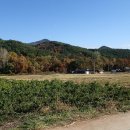 삼계2리 이미지