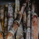 농어민마트 이미지