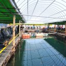 남용호좌대 이미지