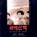 태백산맥 (太白山脈, 1994)전곡을 보내드립니다. 이미지