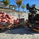 비움리싸이클링 이미지