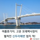 태안가볼만한곳, 태안반도 신두리해변을 소개합니다.(신두리 해안사구 등) 이미지