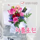 라플로린 | [다산 꽃집 추천] 감성 소형 꽃다발 선물 후기｜라플로린💐