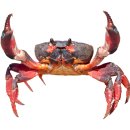 수명민박 이미지