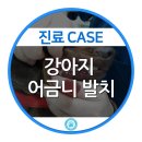 서울동물의료센터 이미지