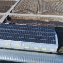 옥 태양광발전소 이미지