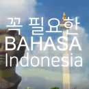 가은미트 이미지