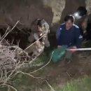 오월드 동물병원 | 대전 오월드 탈출 늑대 늑구 포획 성공, 10일간의 긴박했던 수색 과정과 안전 대책