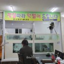 막썰어회수산 이미지