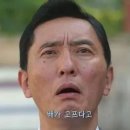 타이루스 이미지