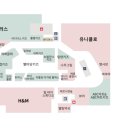 레이디하우스다이소