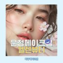 데일리패션 | 운정메이크업 파주메이크업 헬렌뷰티 데일리헤어메이크업 패션가발 후기