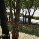 성남대로 이미지