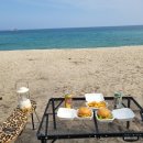 사천견생 네이버블로그