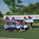 전국생활체육대축전 게이트볼대회 이미지