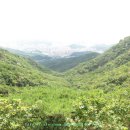 절터골2 이미지