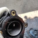 장일카센타 이미지