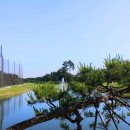 고양컨트리클럽 이미지