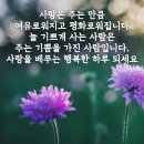행운 이미지